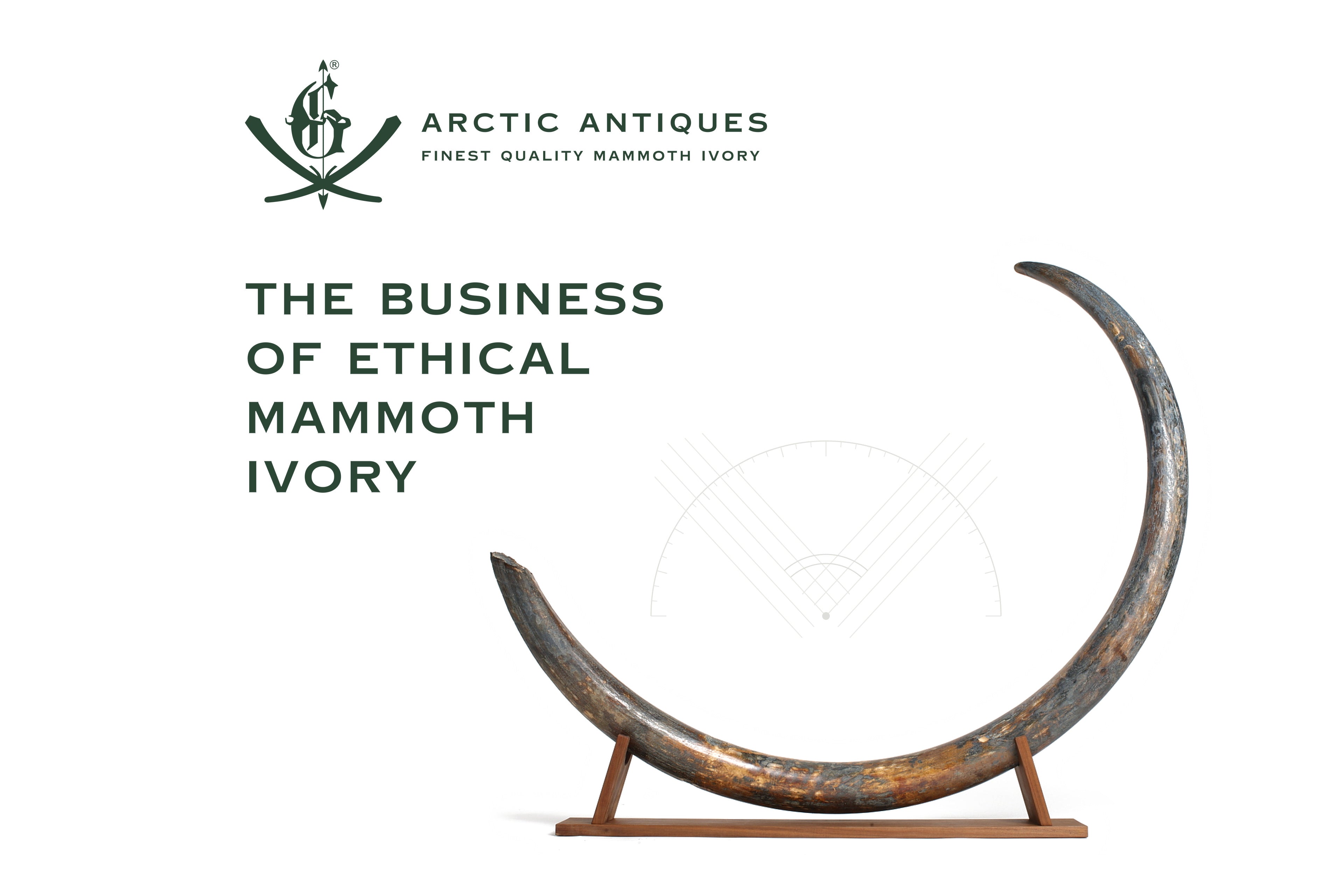 The Business of Ethical Mammoth Ivory – Arctic Antiques
