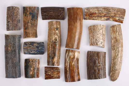 Our Mammoth Ivory Selection