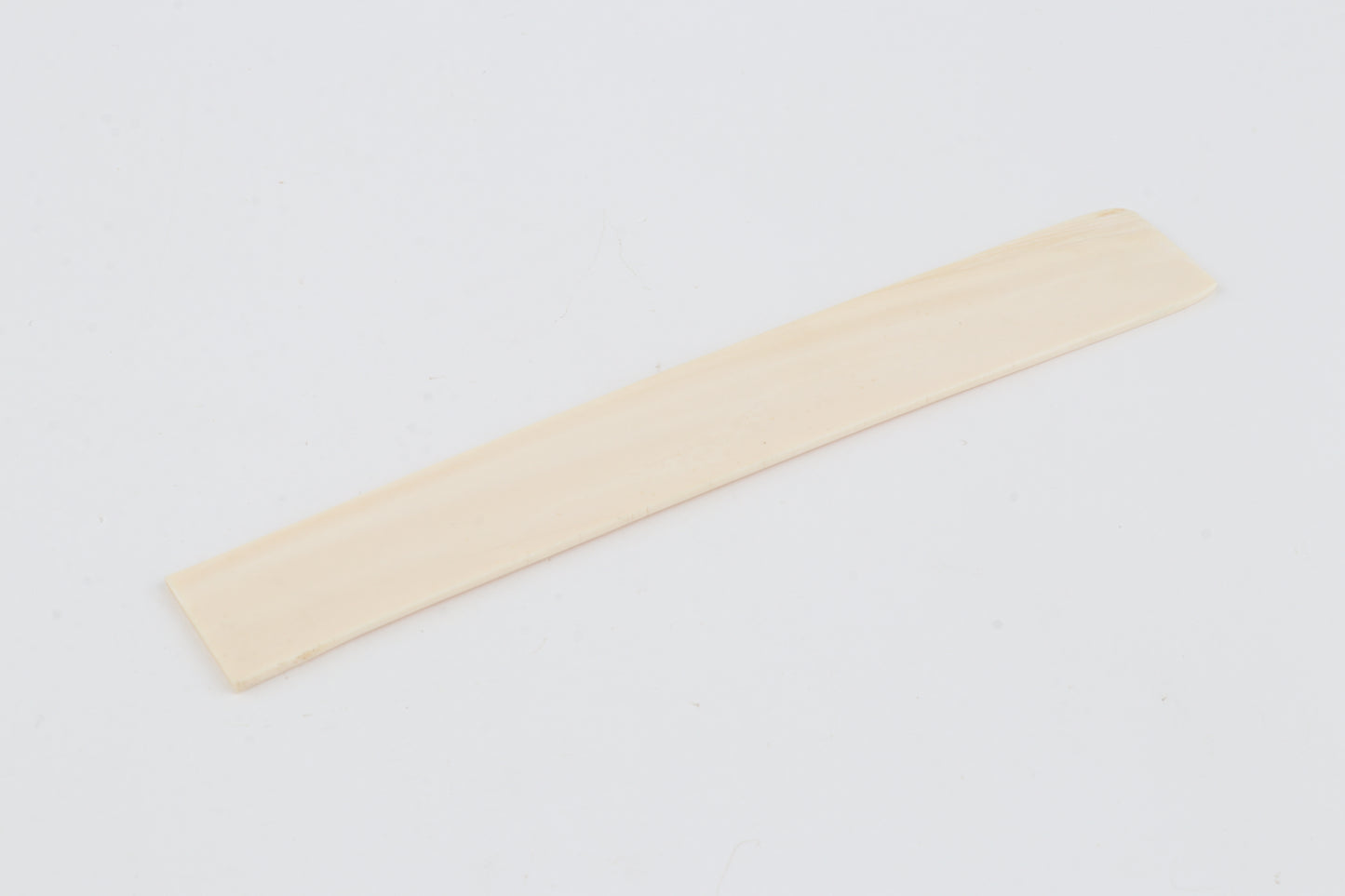 White mammoth ivory segment