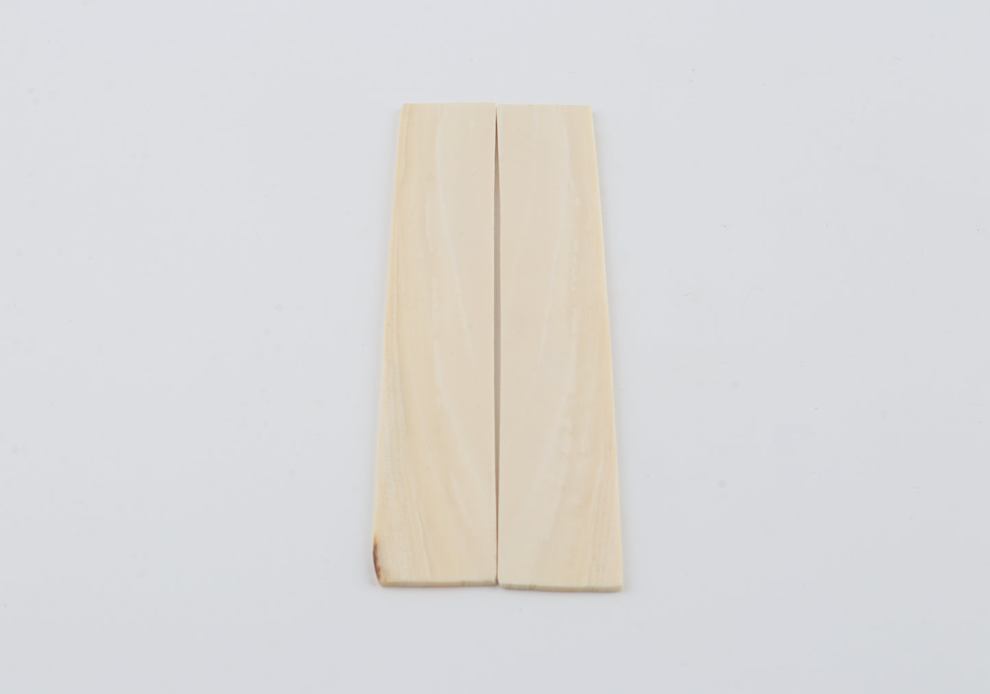 White mammoth ivory scales