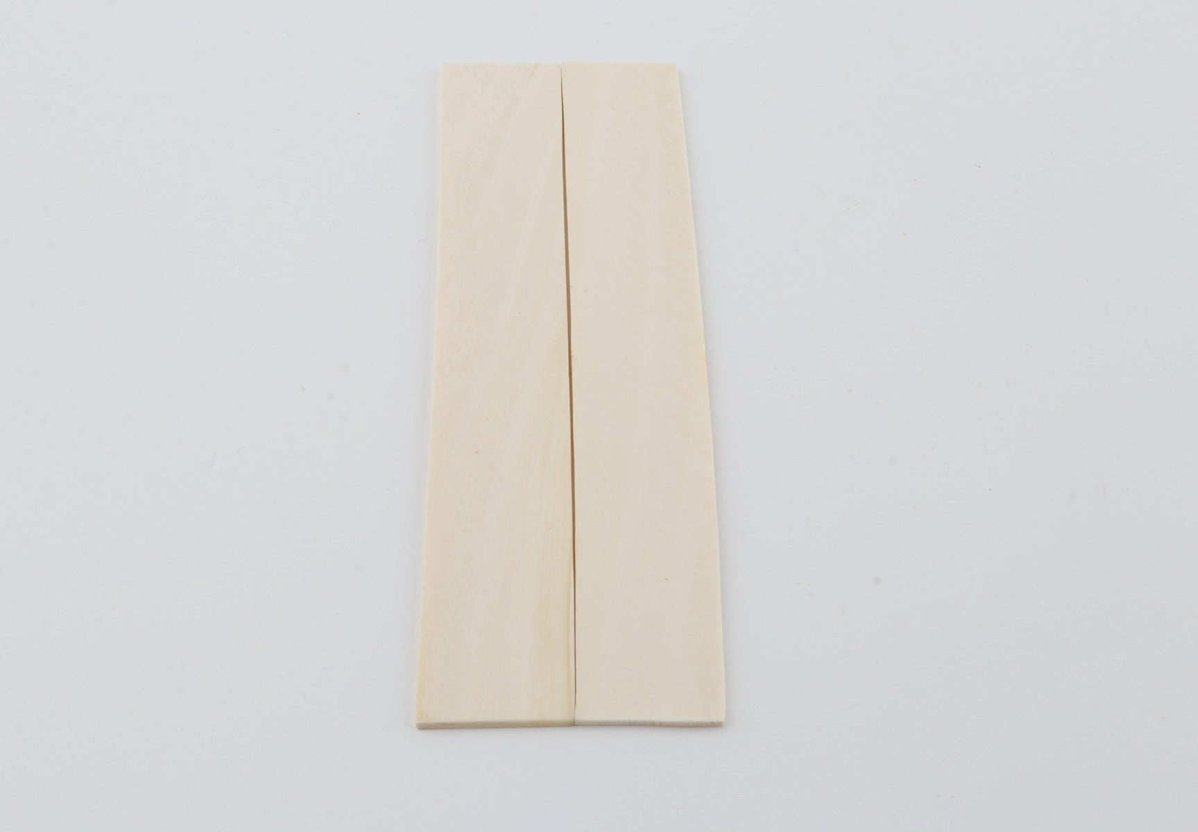 White mammoth ivory scales