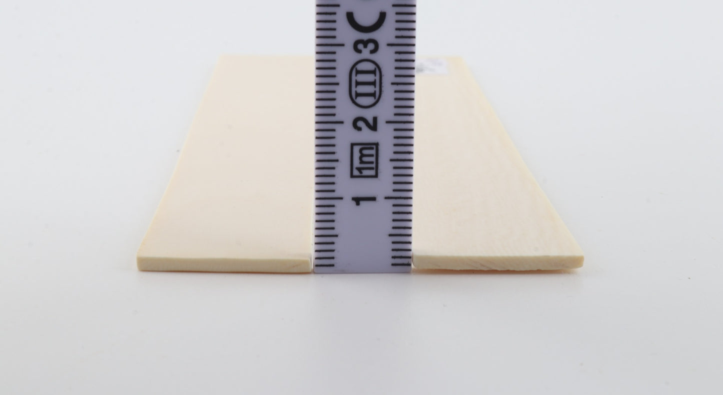 Natural mammoth ivory scales
