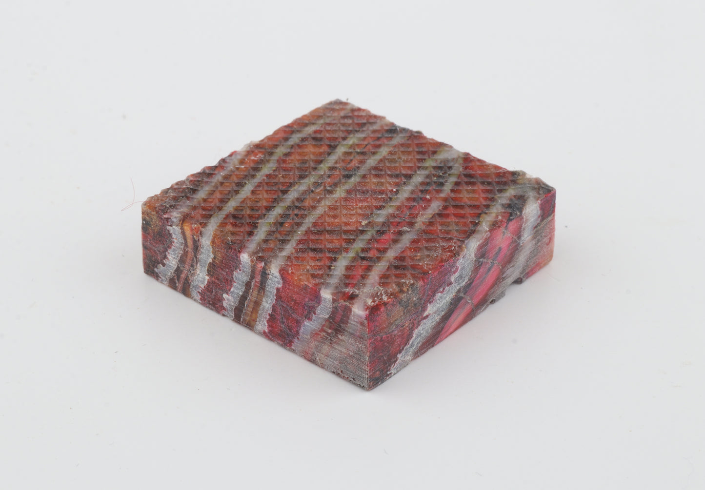 Stabilised mammoth molar piece