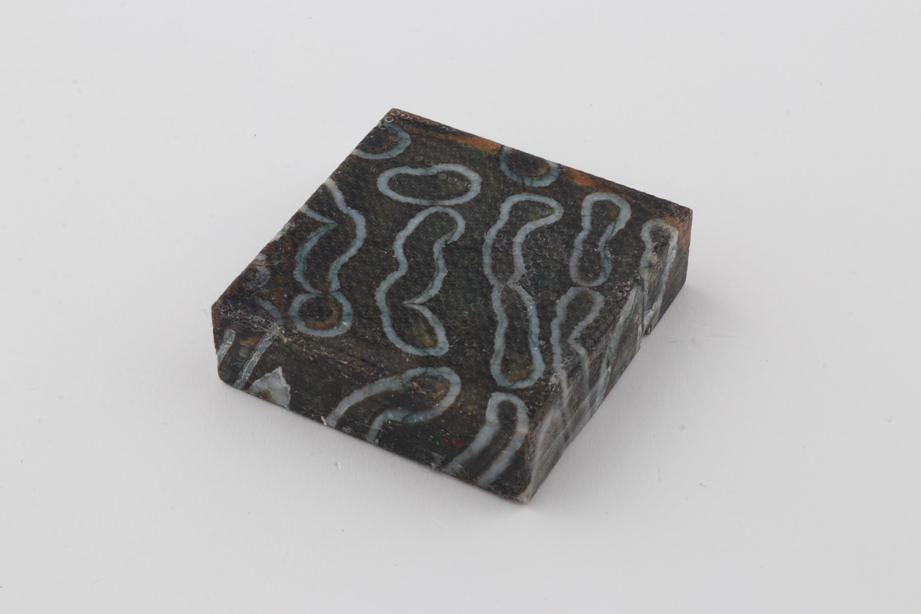 Stabilized mammoth molar block