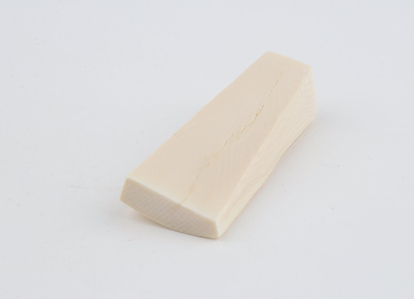 White mammoth ivory segment