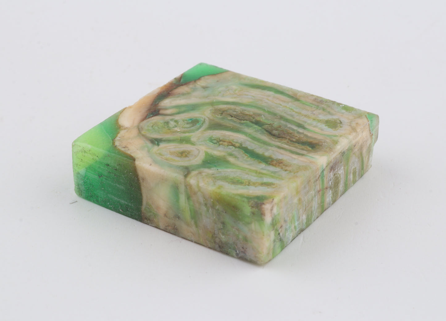 Stabilised mammoth molar piece