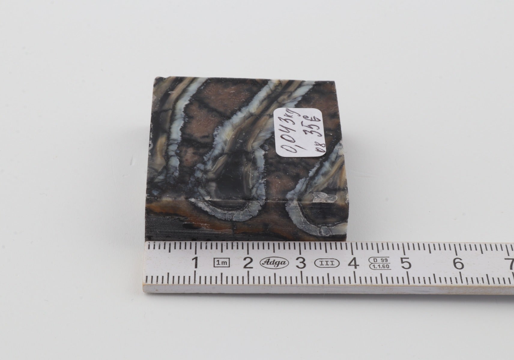 Stabilised mammoth molar piece