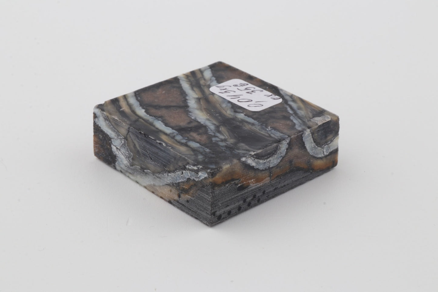 Stabilised mammoth molar piece