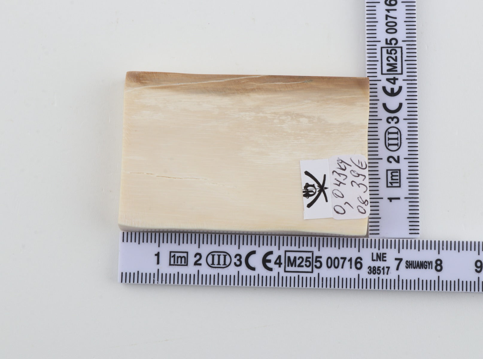 White mammoth ivory segment