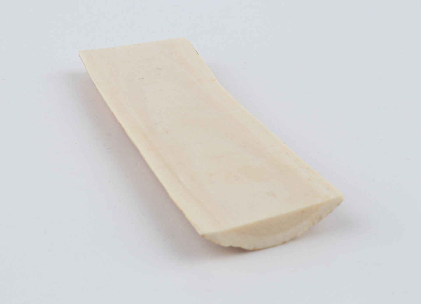 Orange mammoth bark