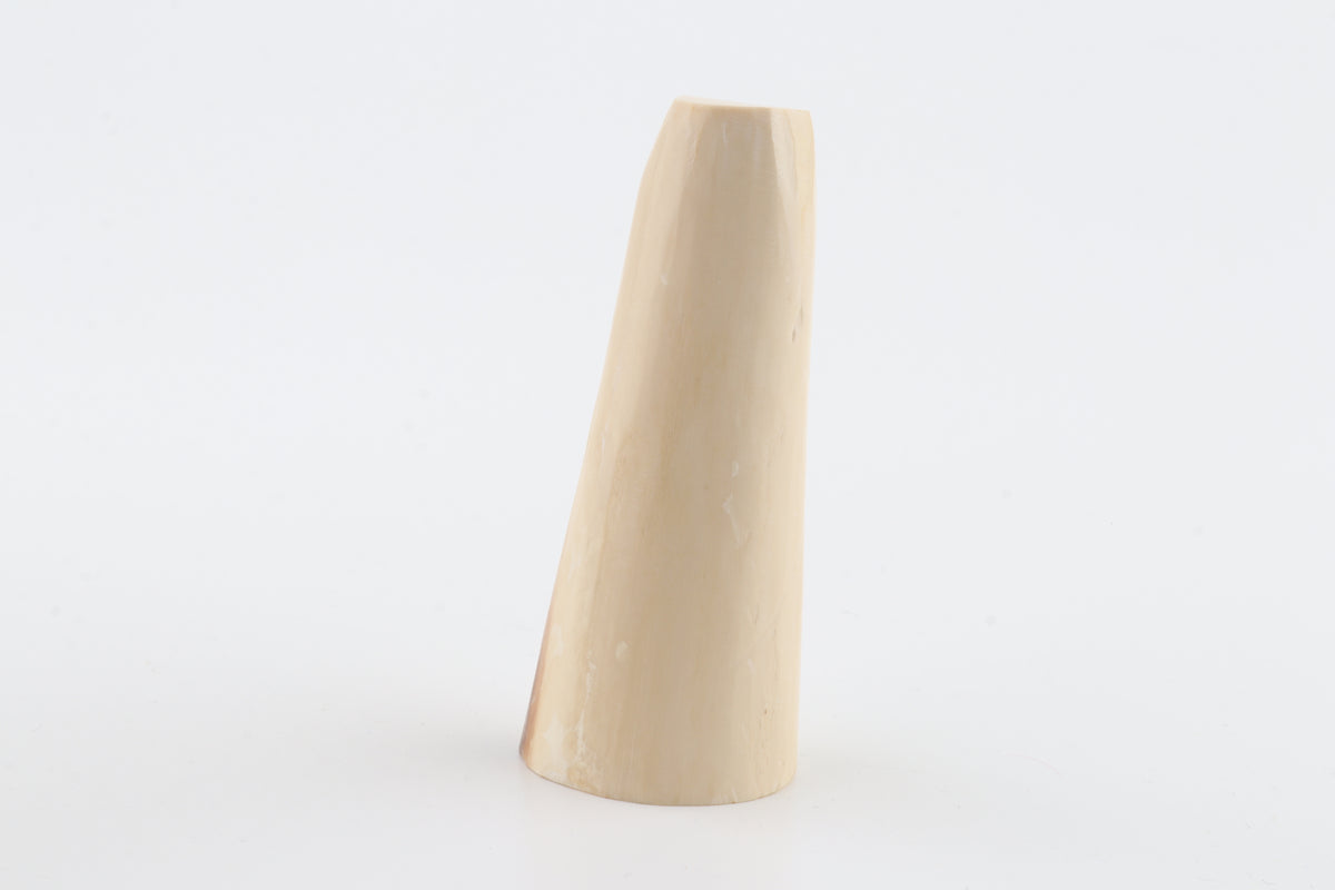 Round mammoth tusk piece