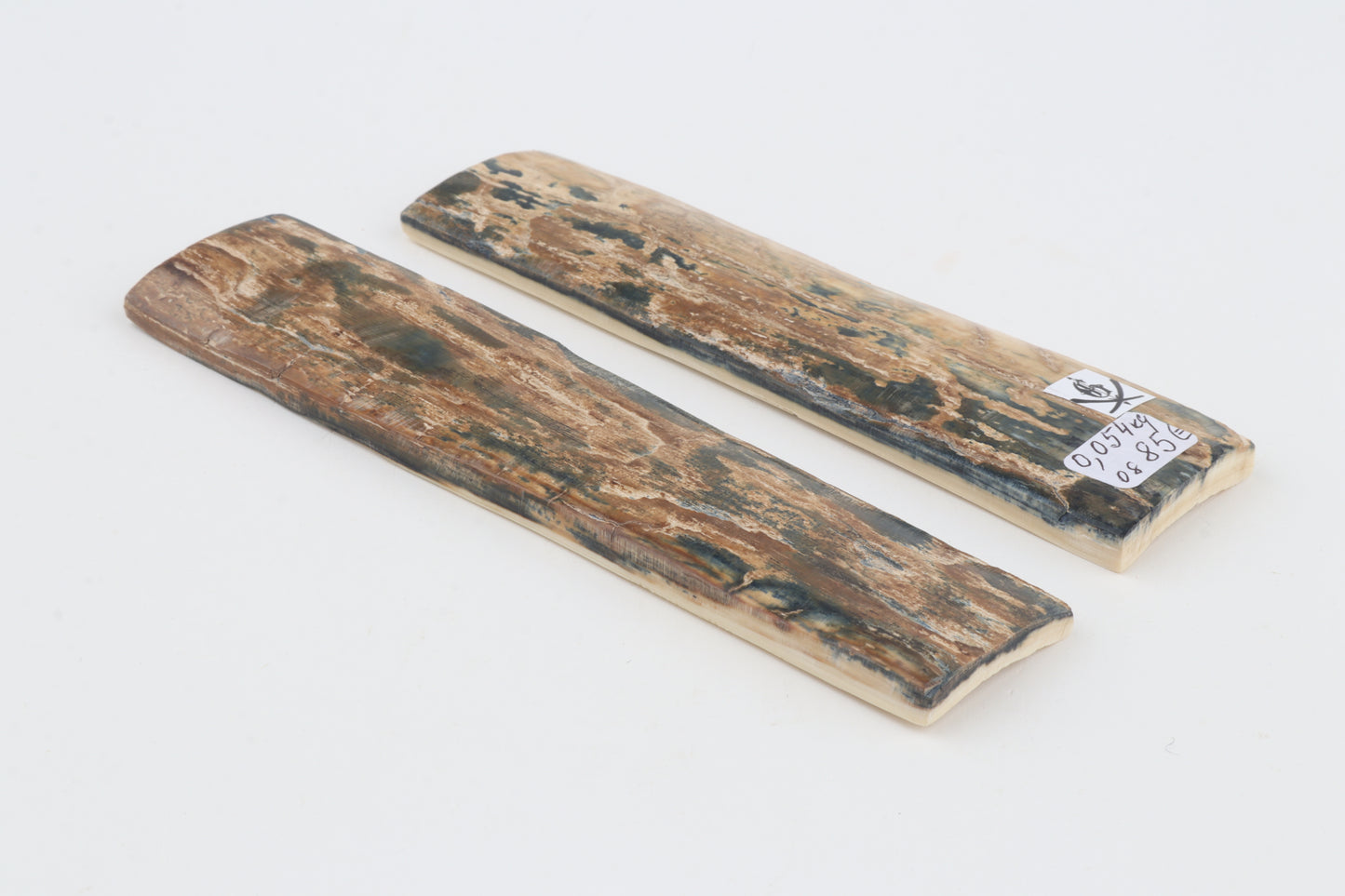 Natural mammoth bark scales