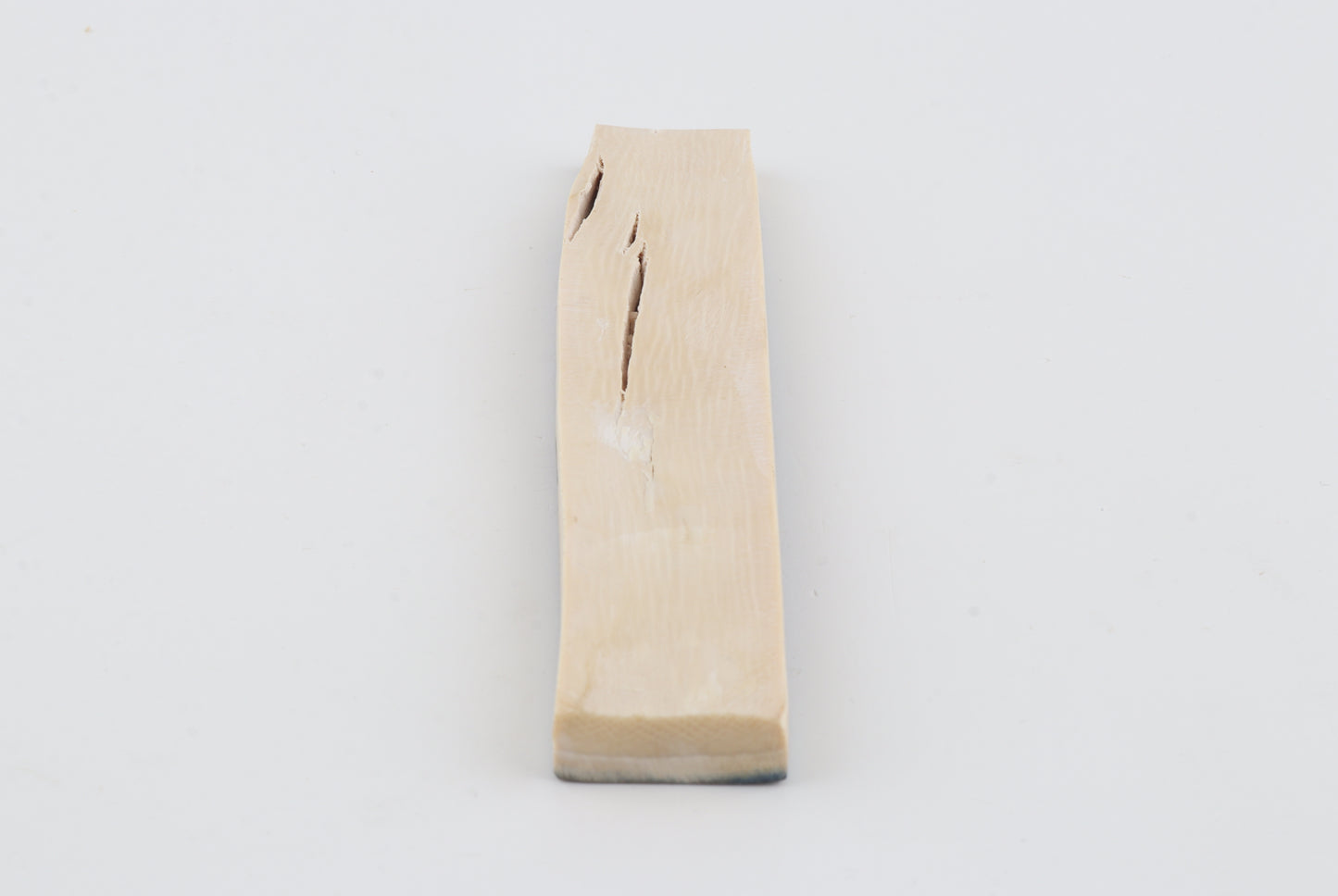 Blue-brown mammoth bark