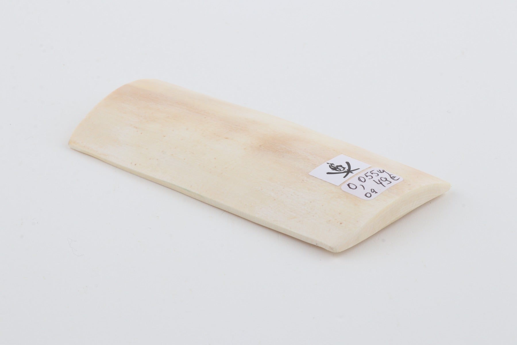White mammoth ivory piece