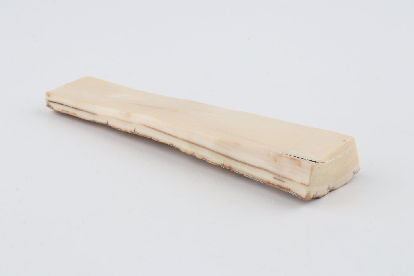 Creme-orange mammoth bark