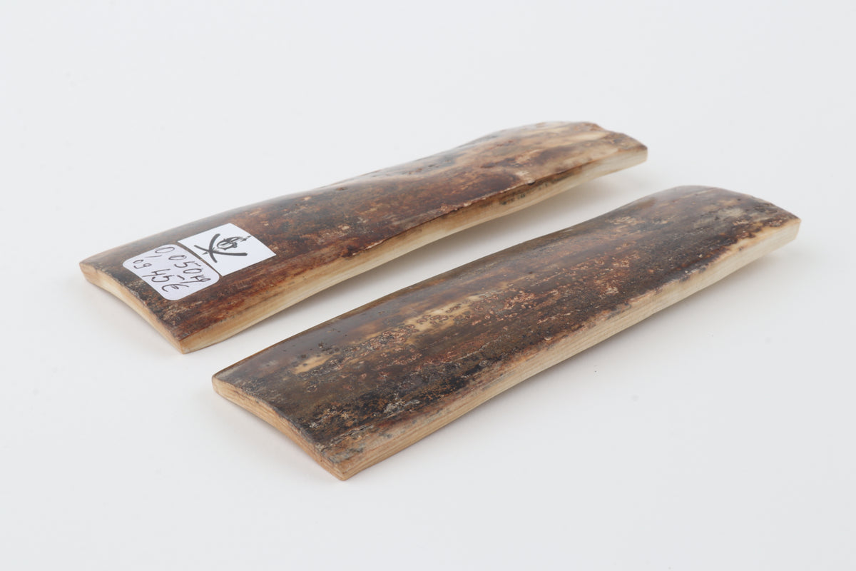 Natural mammoth bark scales