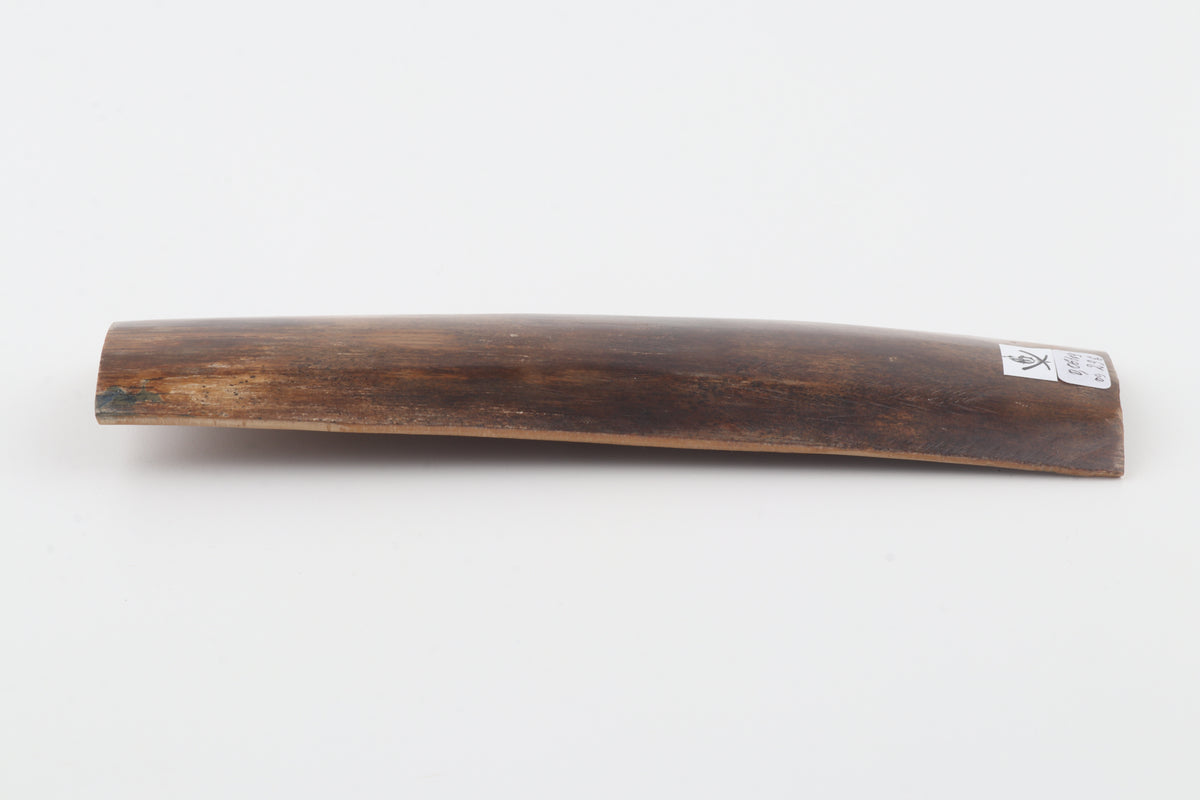 Brown mammoth bark