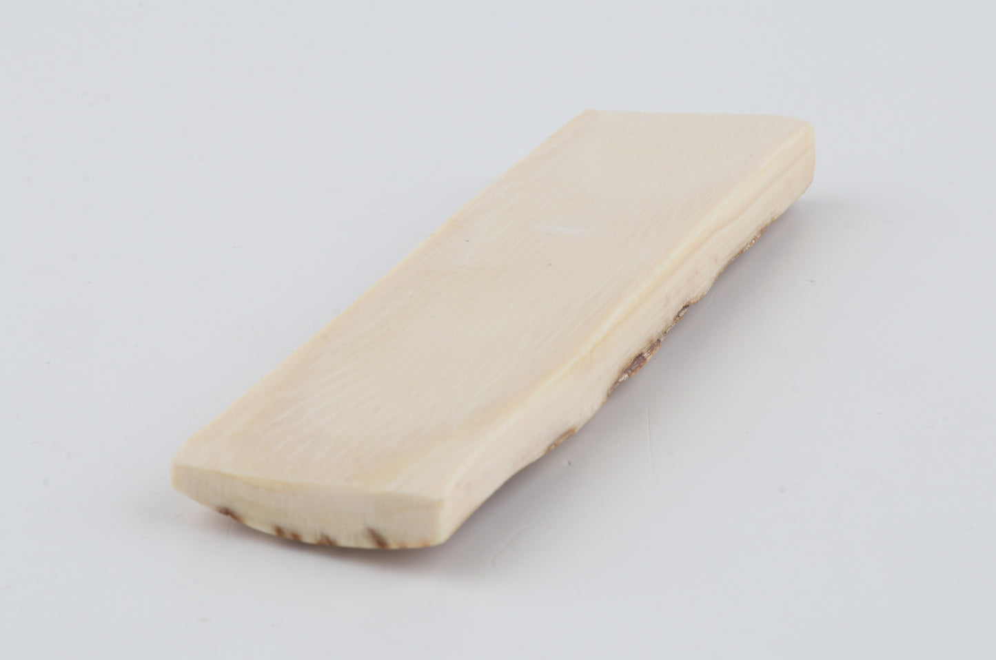 White-orange mammoth bark