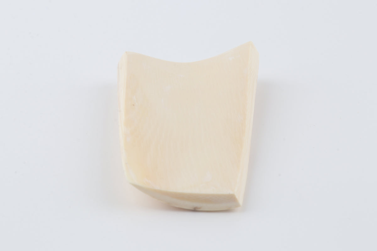 Natural mammoth ivory piece
