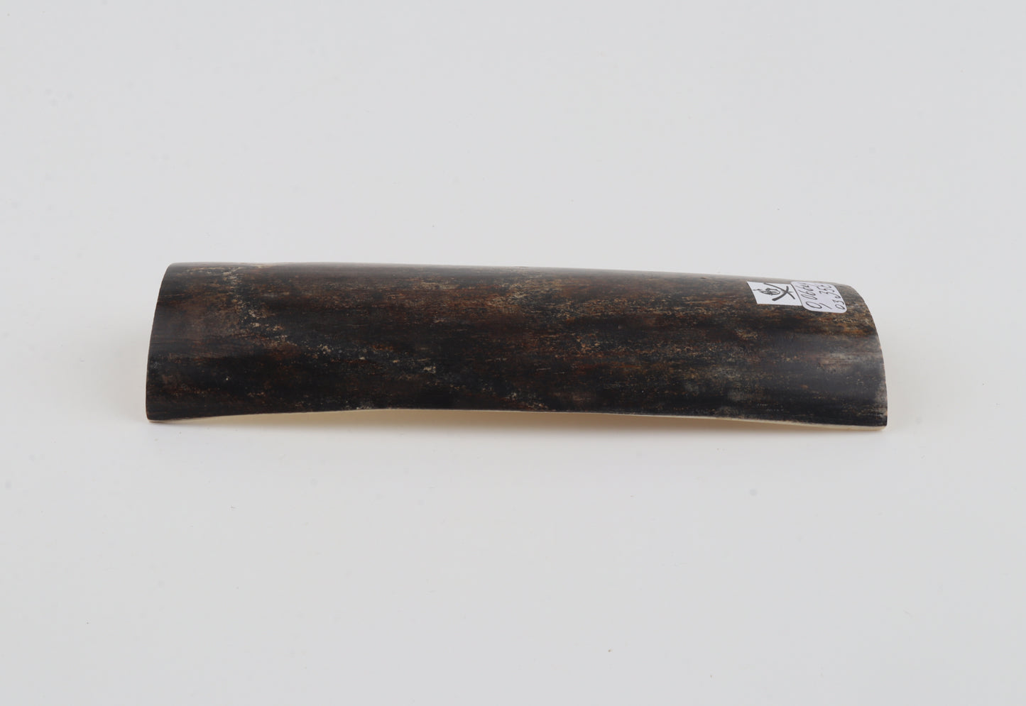 Brown-grey mammoth bark