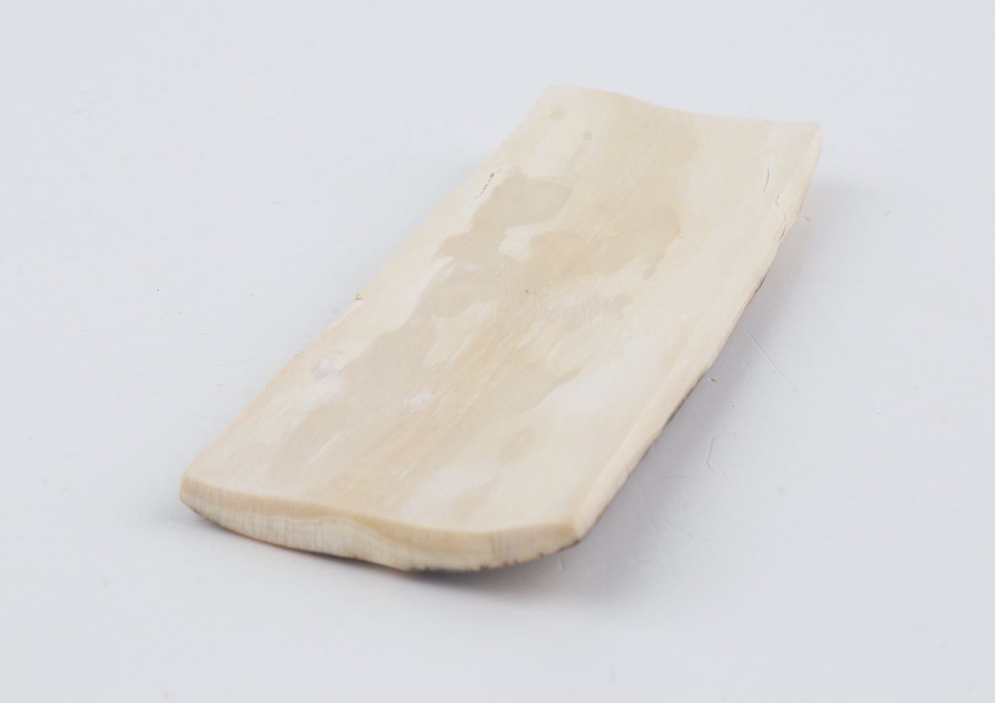 Beige-brown mammoth bark