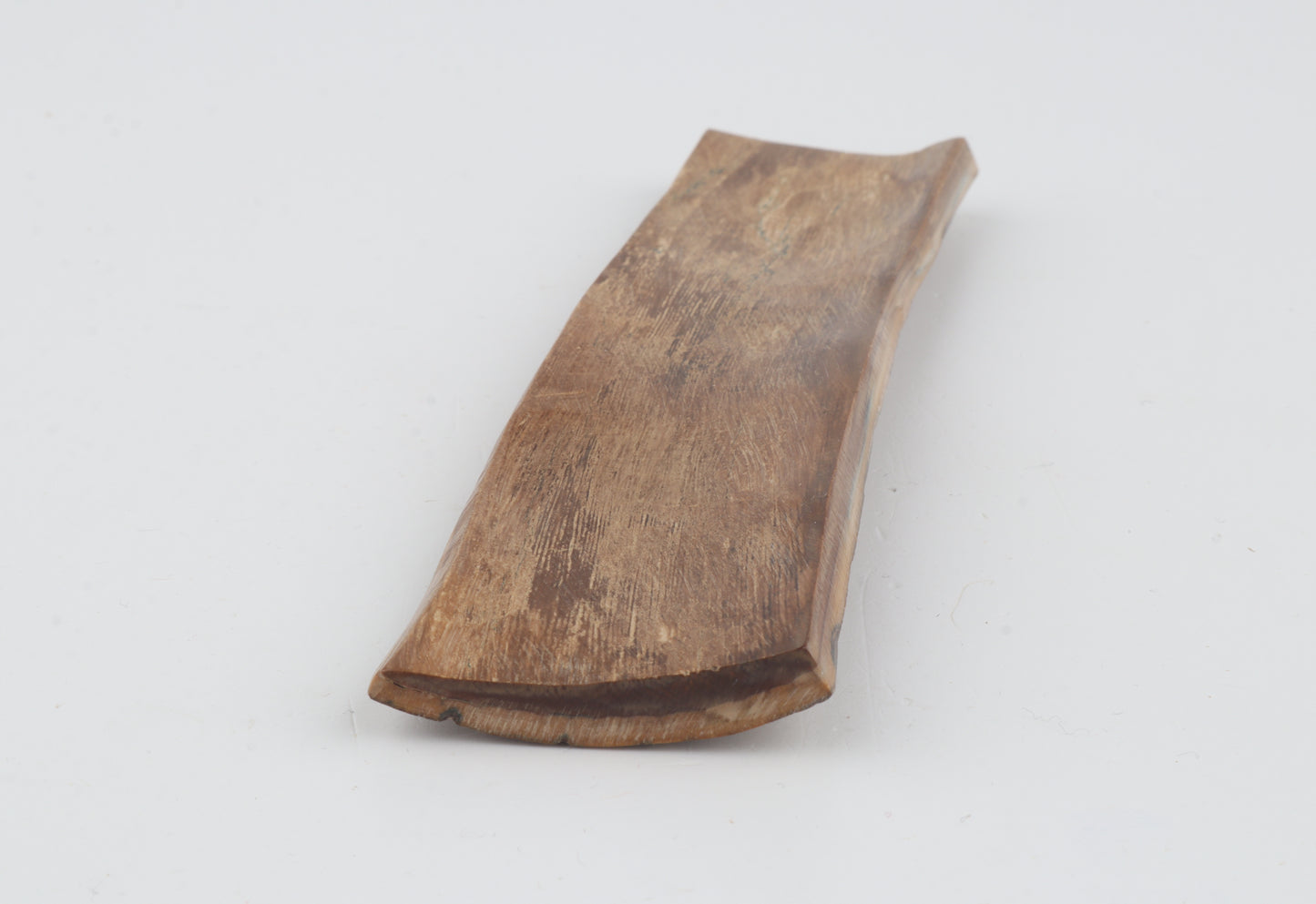 Beige mammoth bark