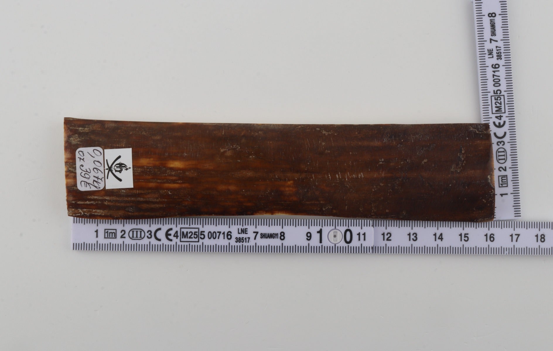 Brown mammoth bark