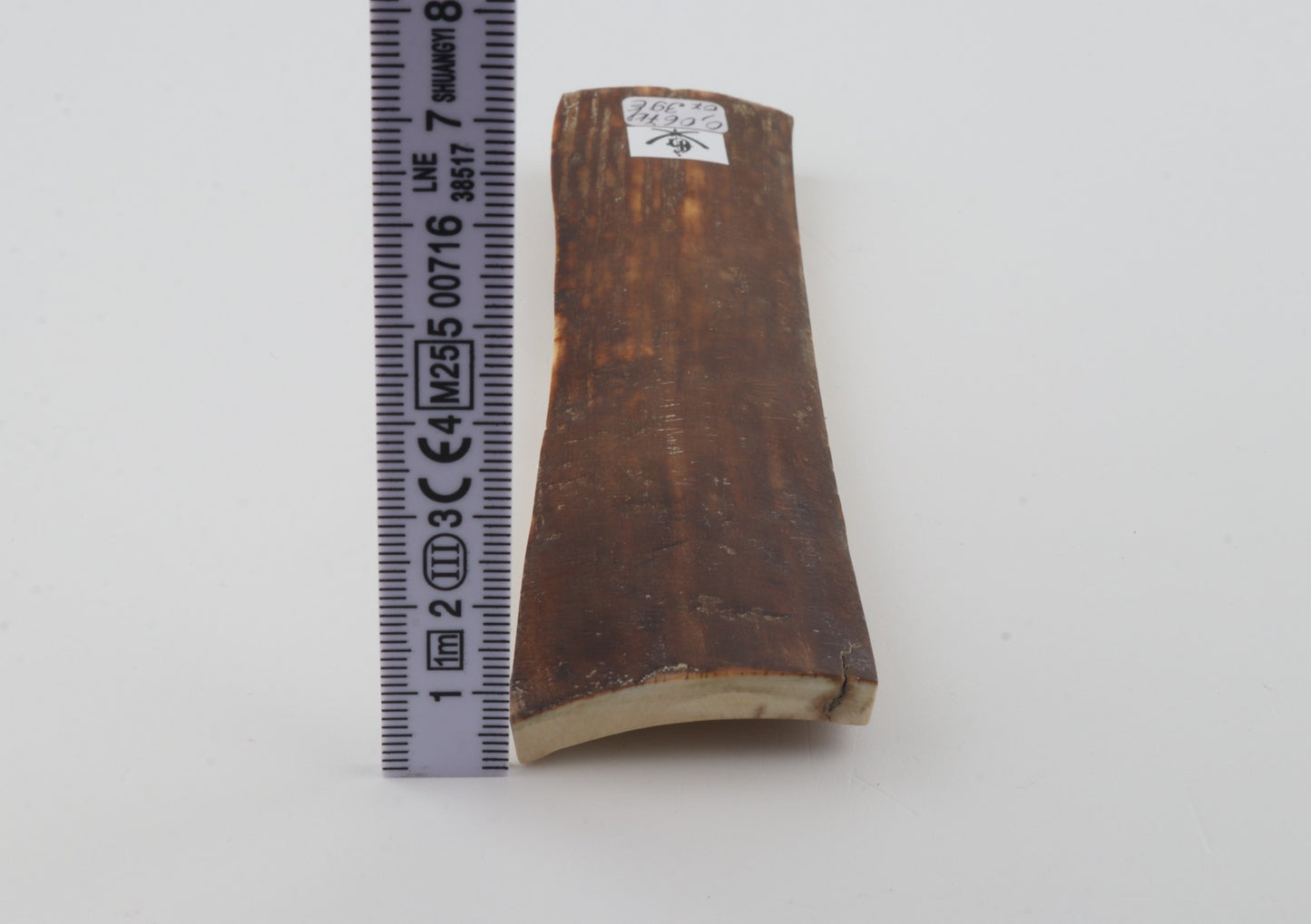 Brown mammoth bark