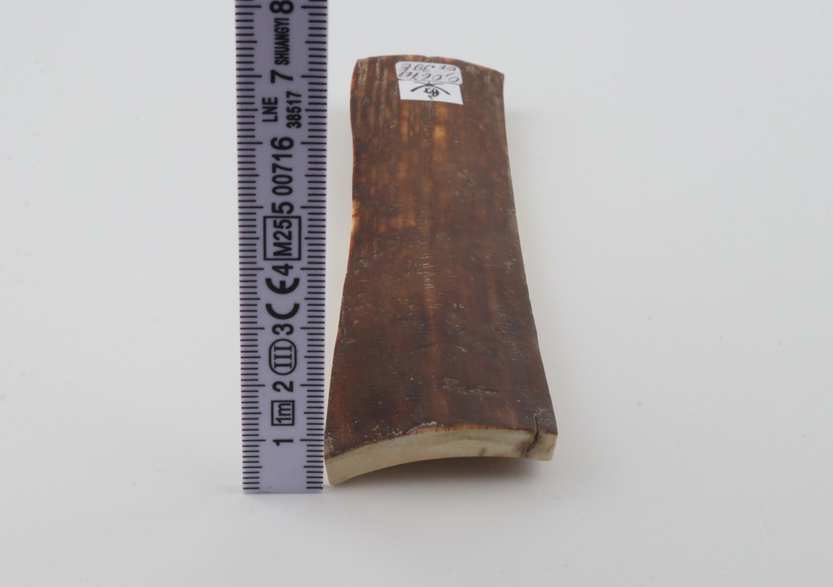 Brown mammoth bark