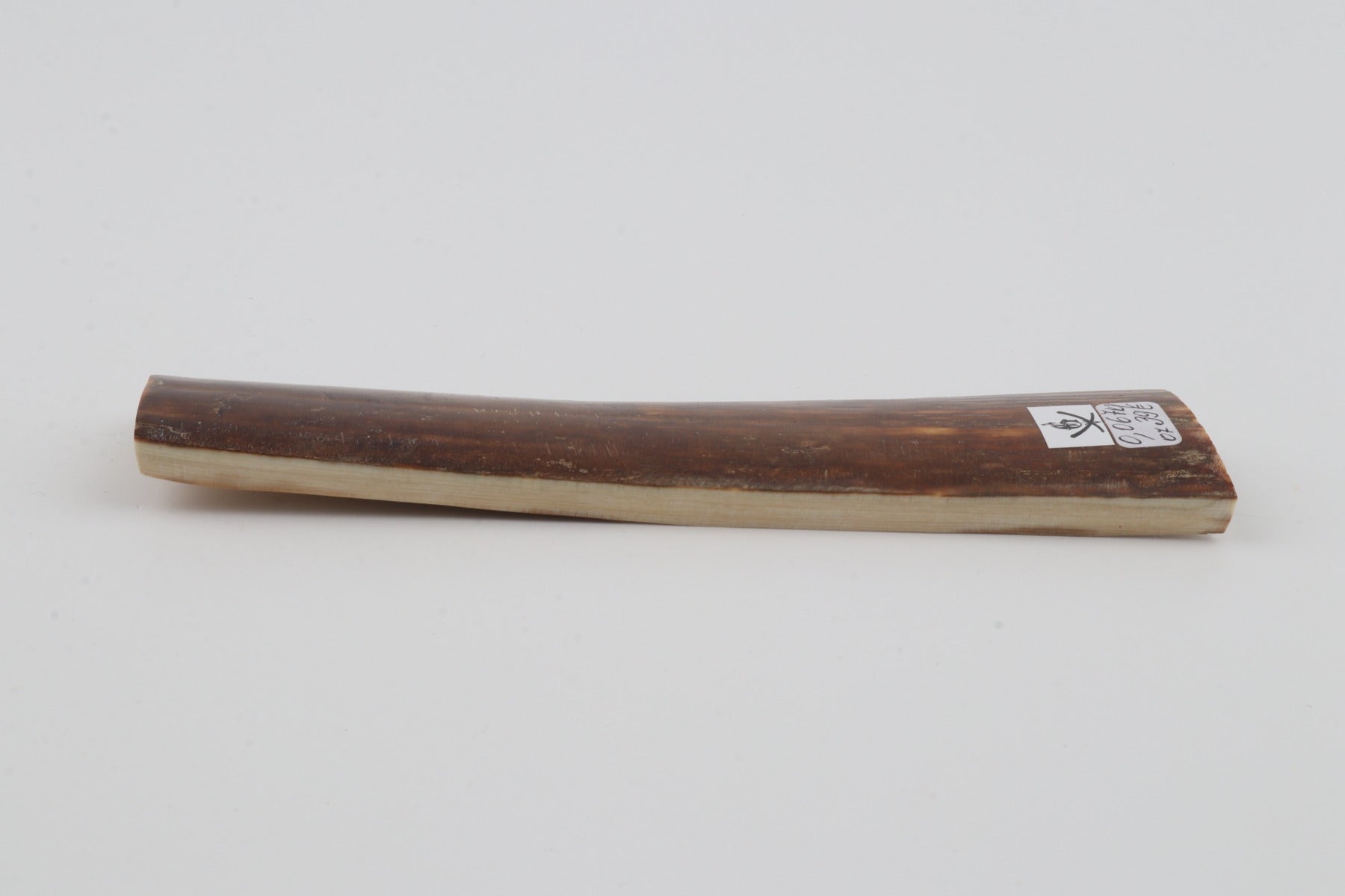 Brown mammoth bark