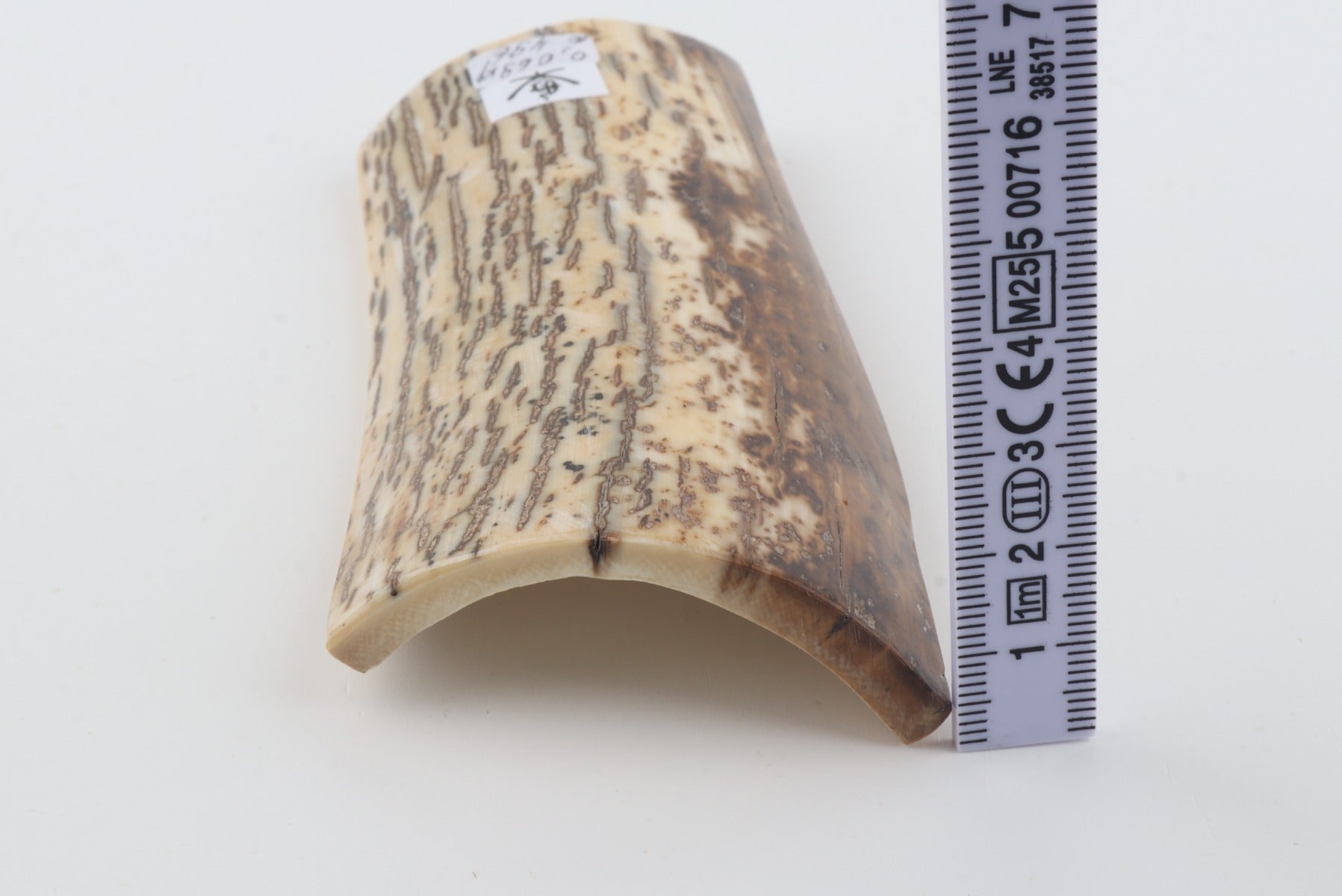 Natural mammoth bark