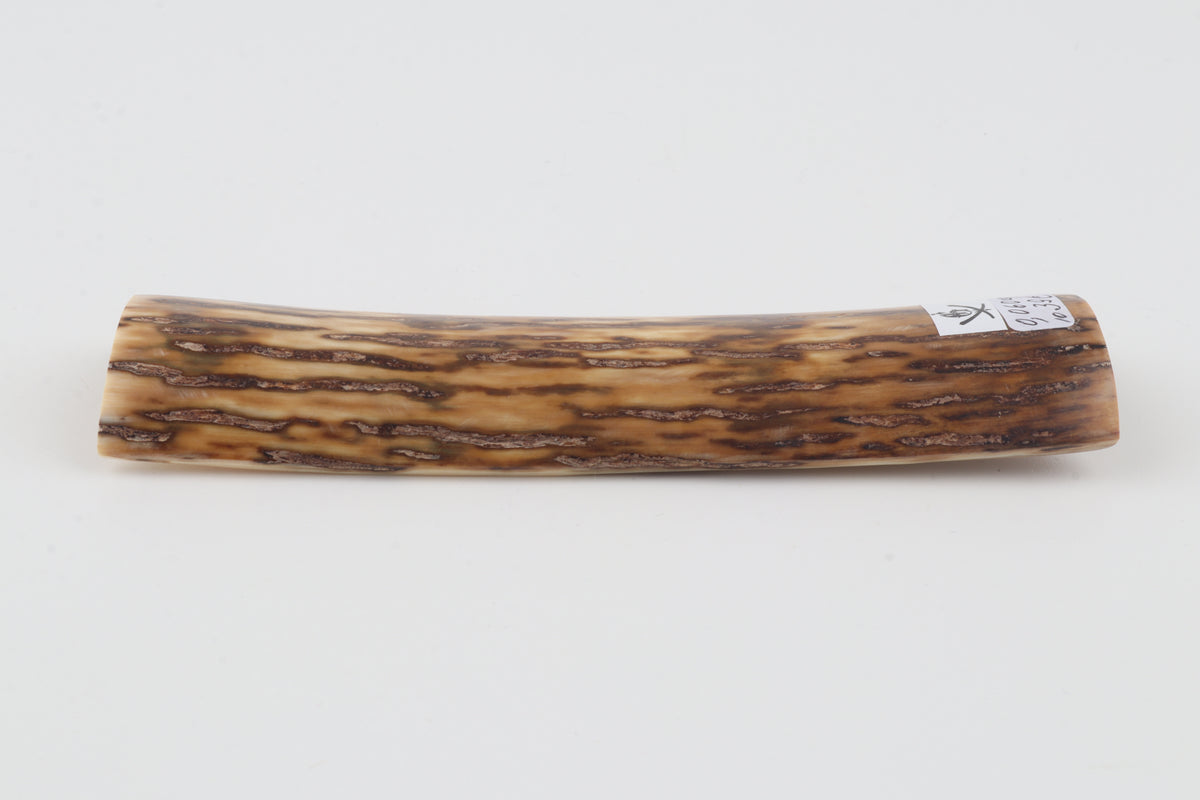 Brown-cream mammoth bark