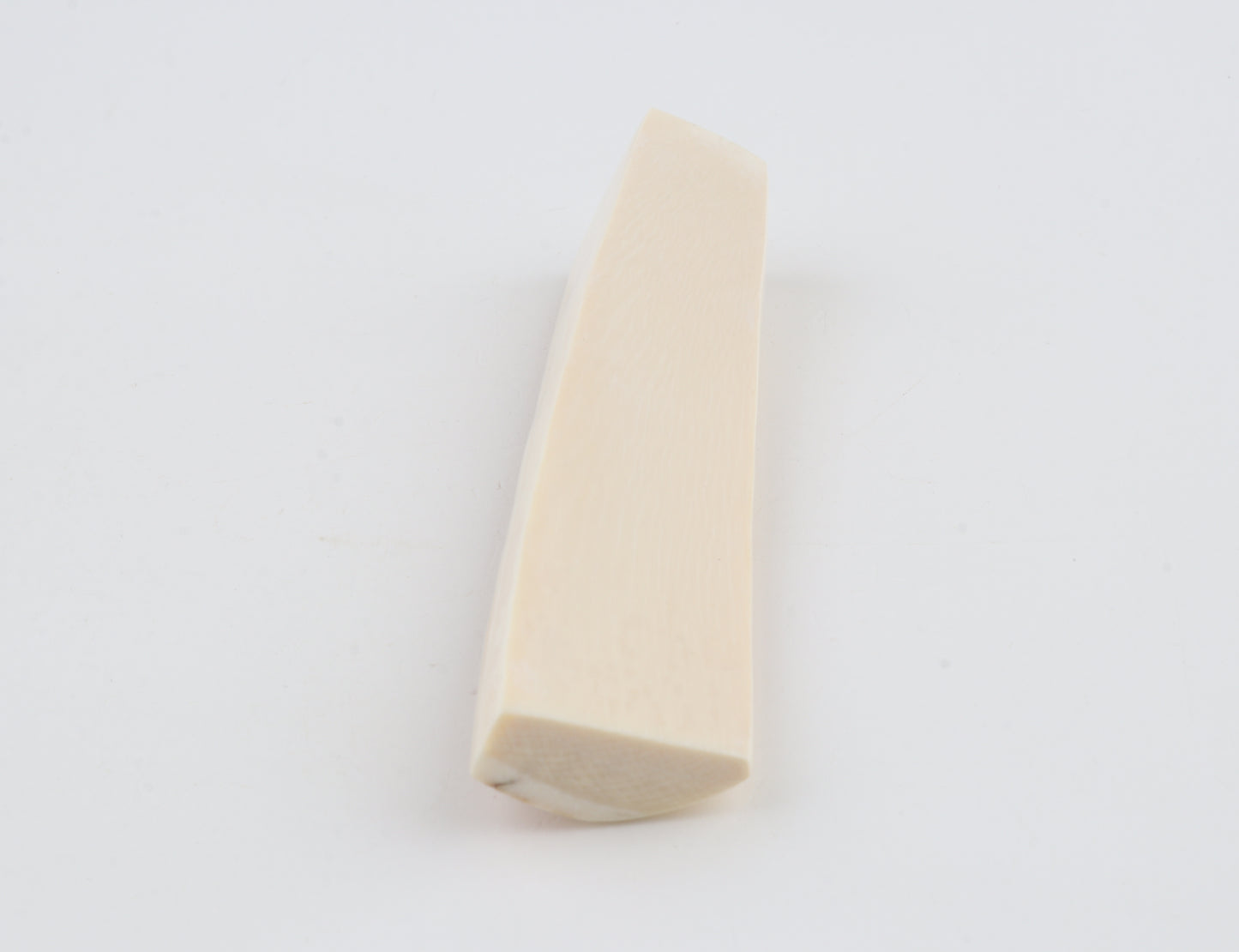 White mammoth ivory segment