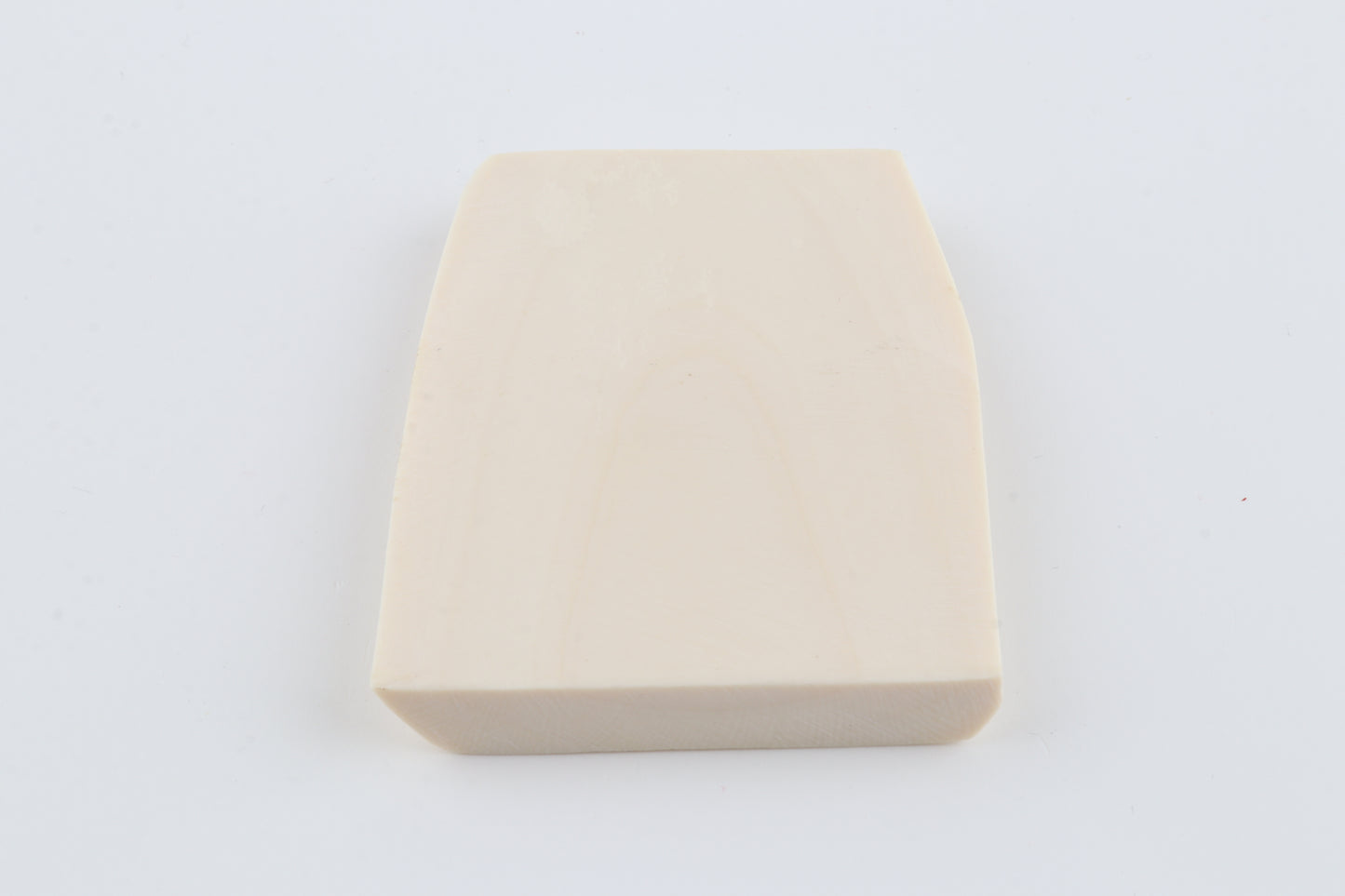 White mammoth ivory segment
