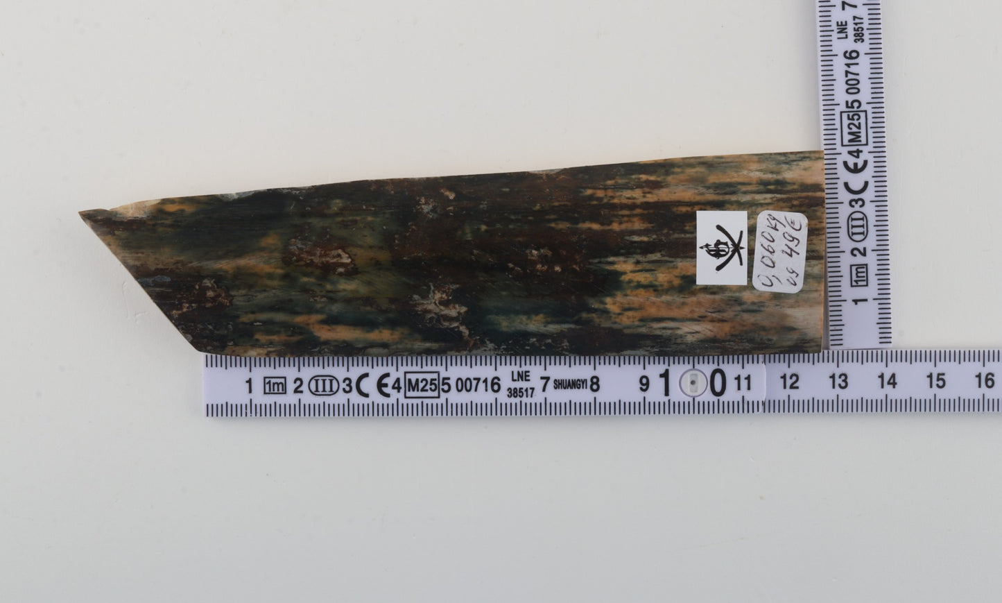 Green mammoth bark