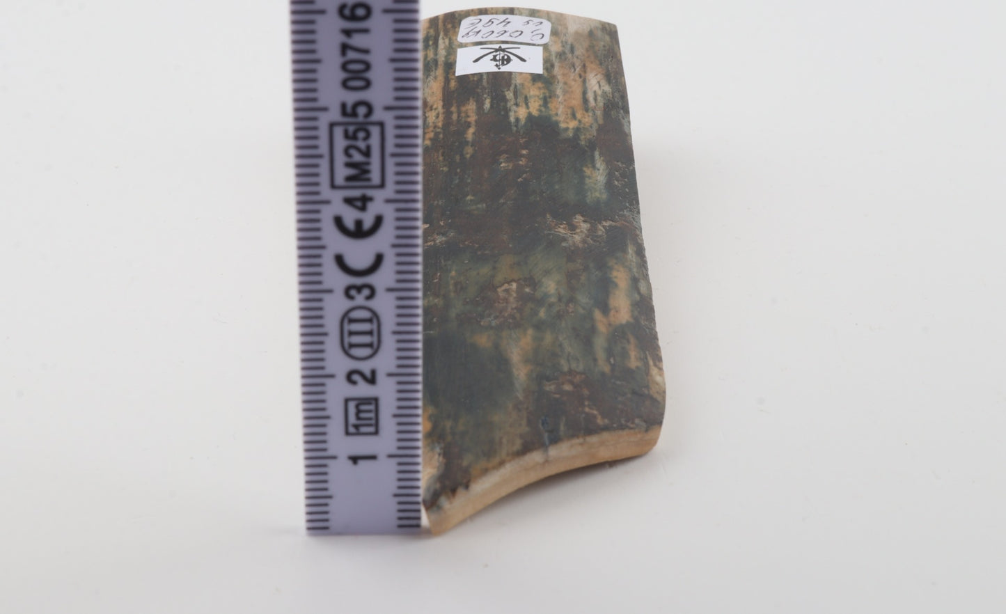 Green mammoth bark