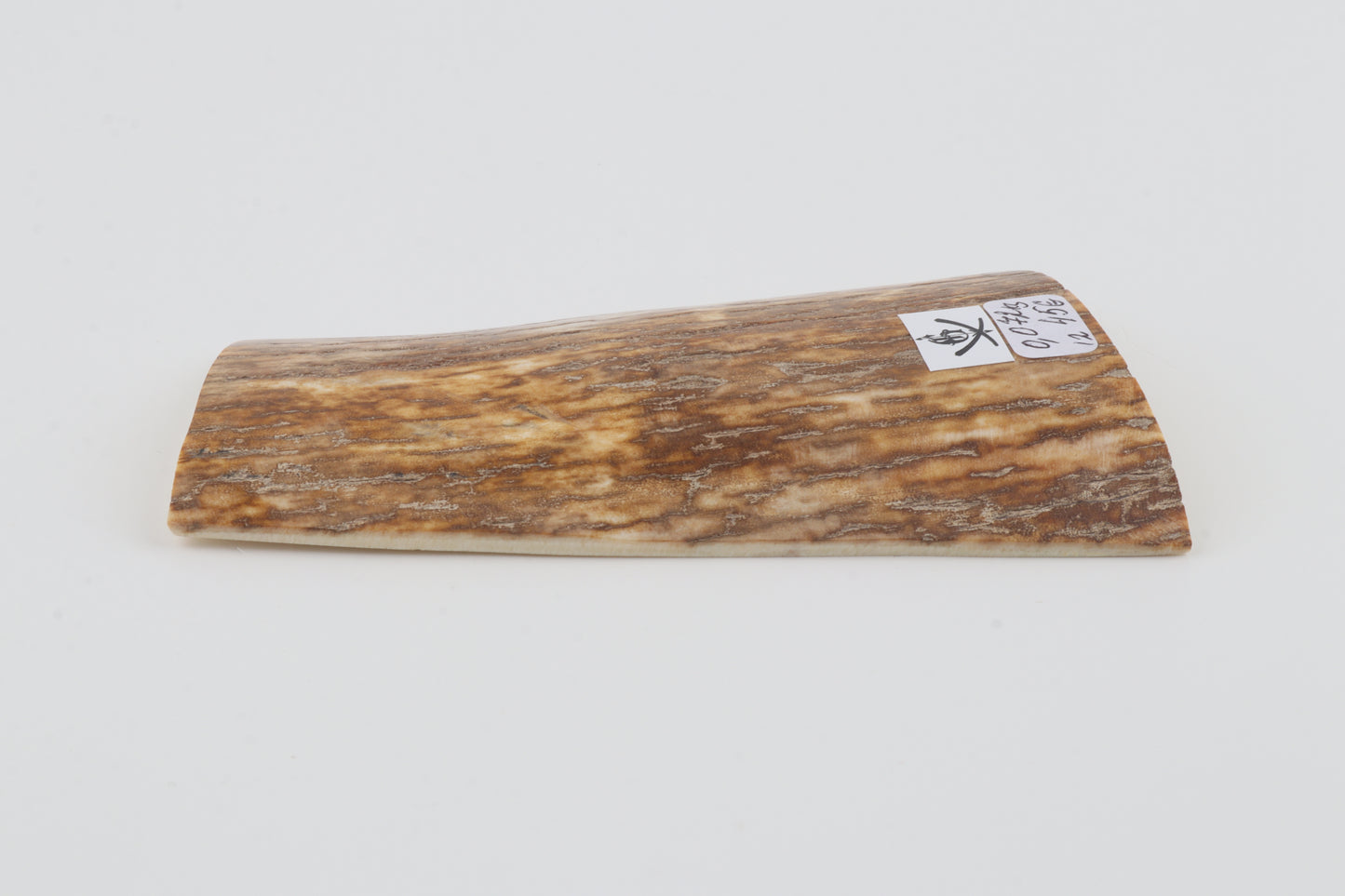 Orange-yellow mammoth bark