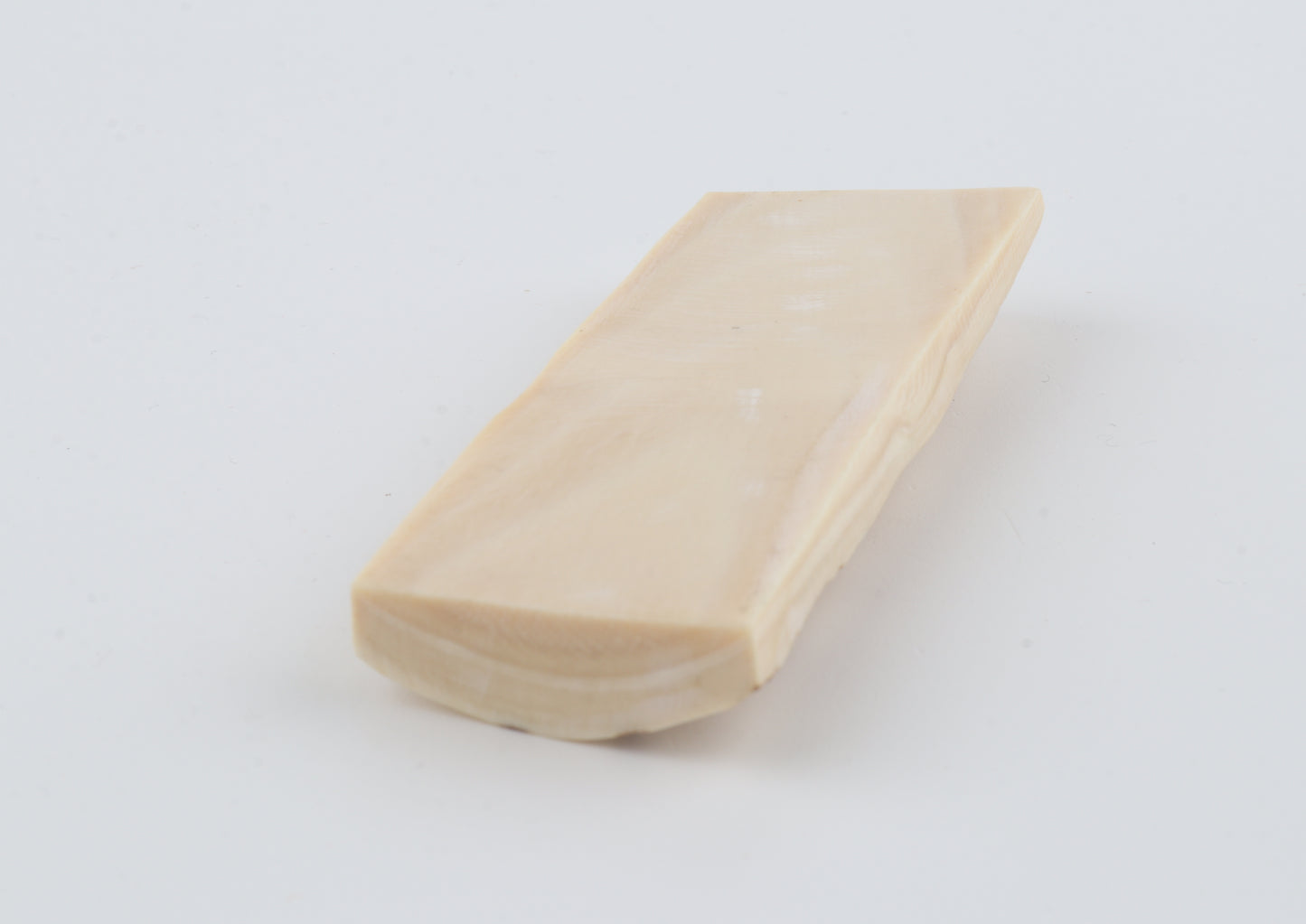 White mammoth bark