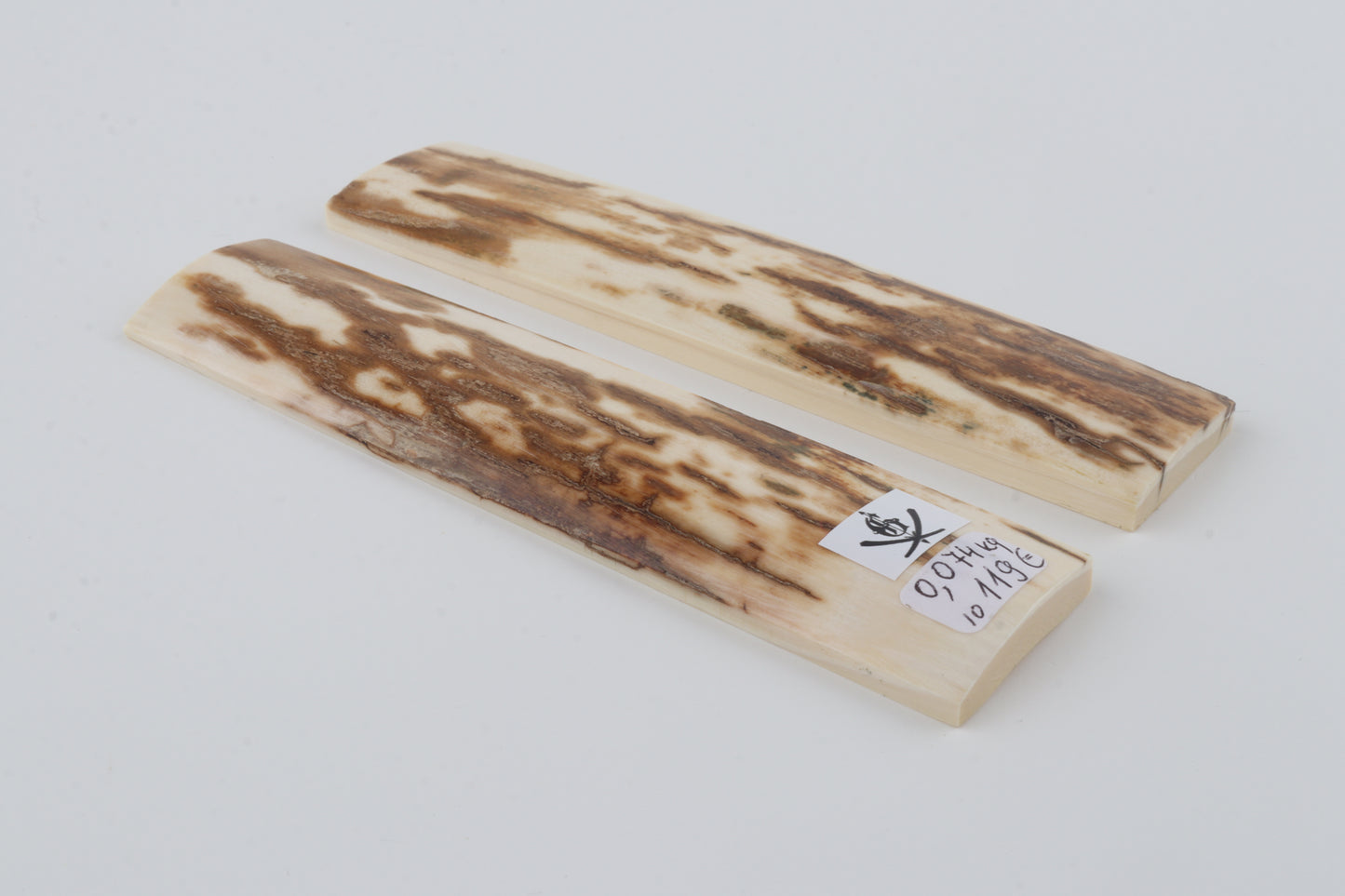 Natural mammoth bark scales