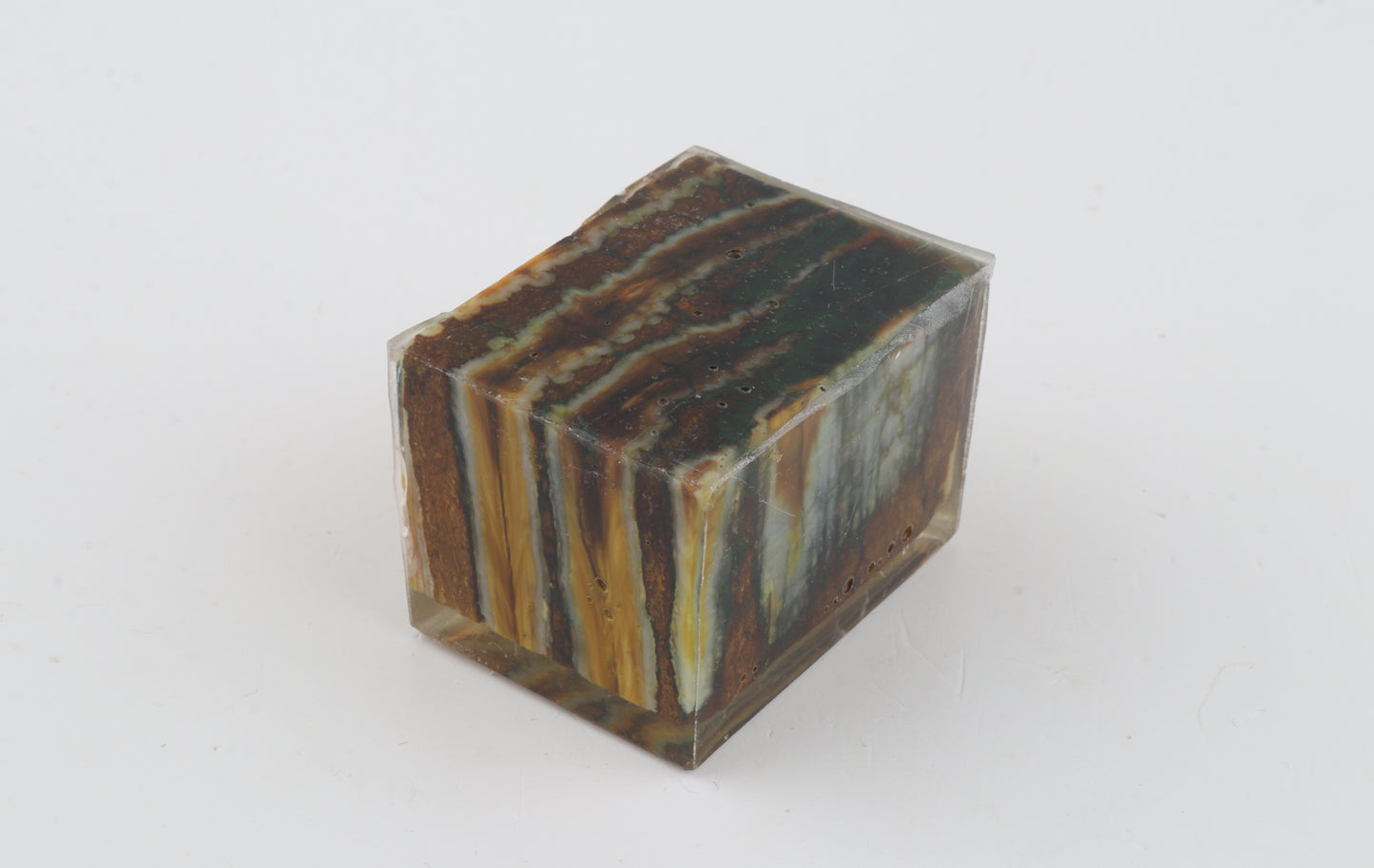 Stabilized mammoth molar piece