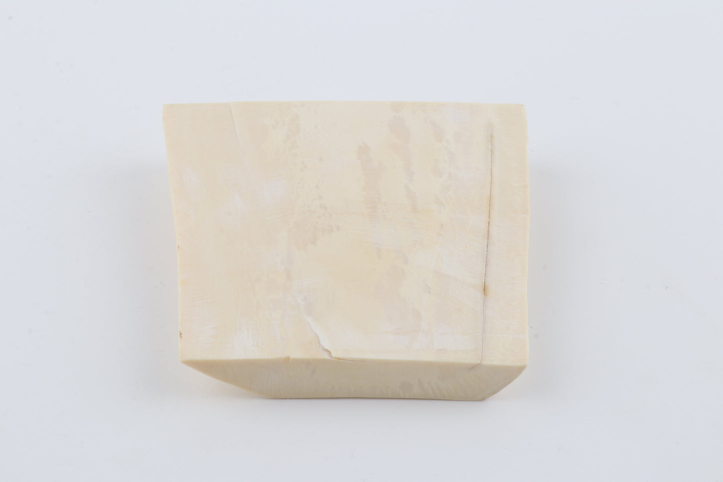 White mammoth ivory segment