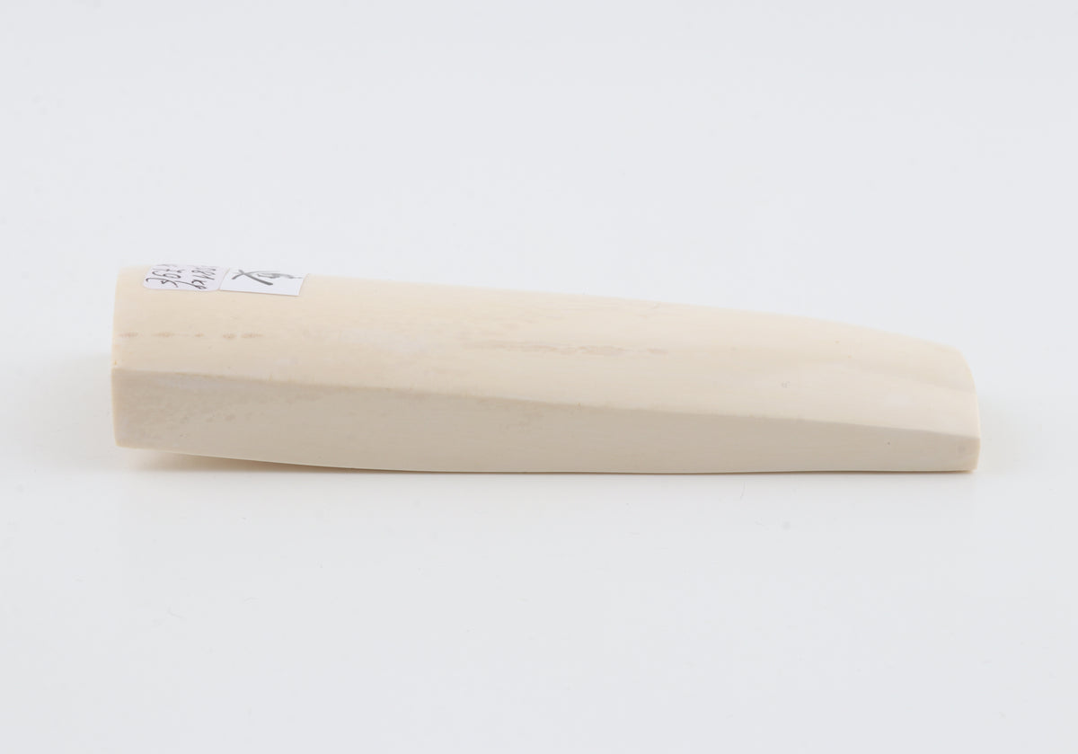 White mammoth ivory segment
