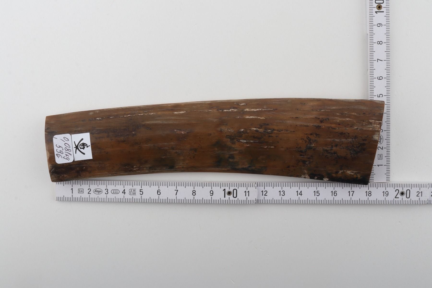 Mustard mammoth bark