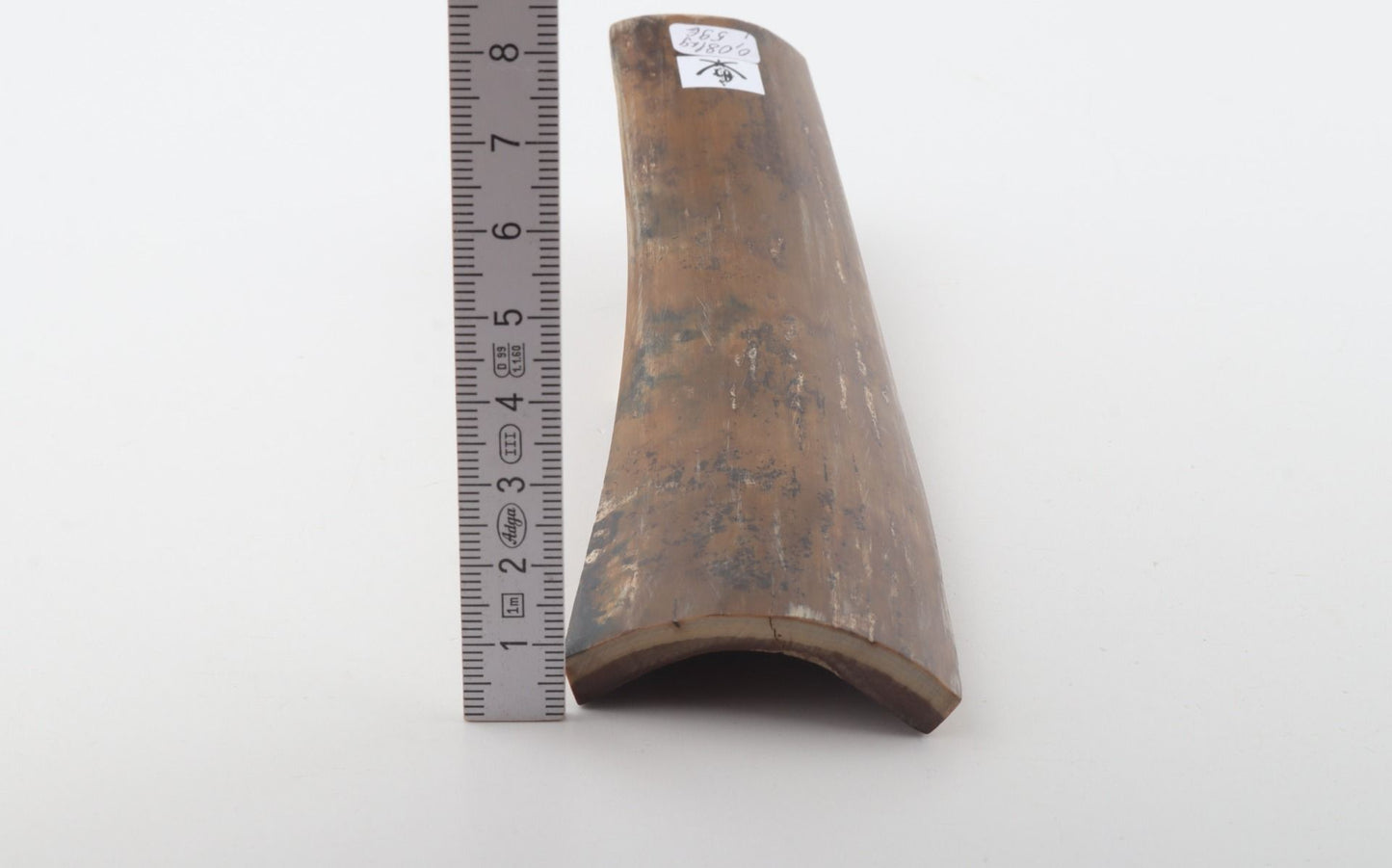Mustard mammoth bark