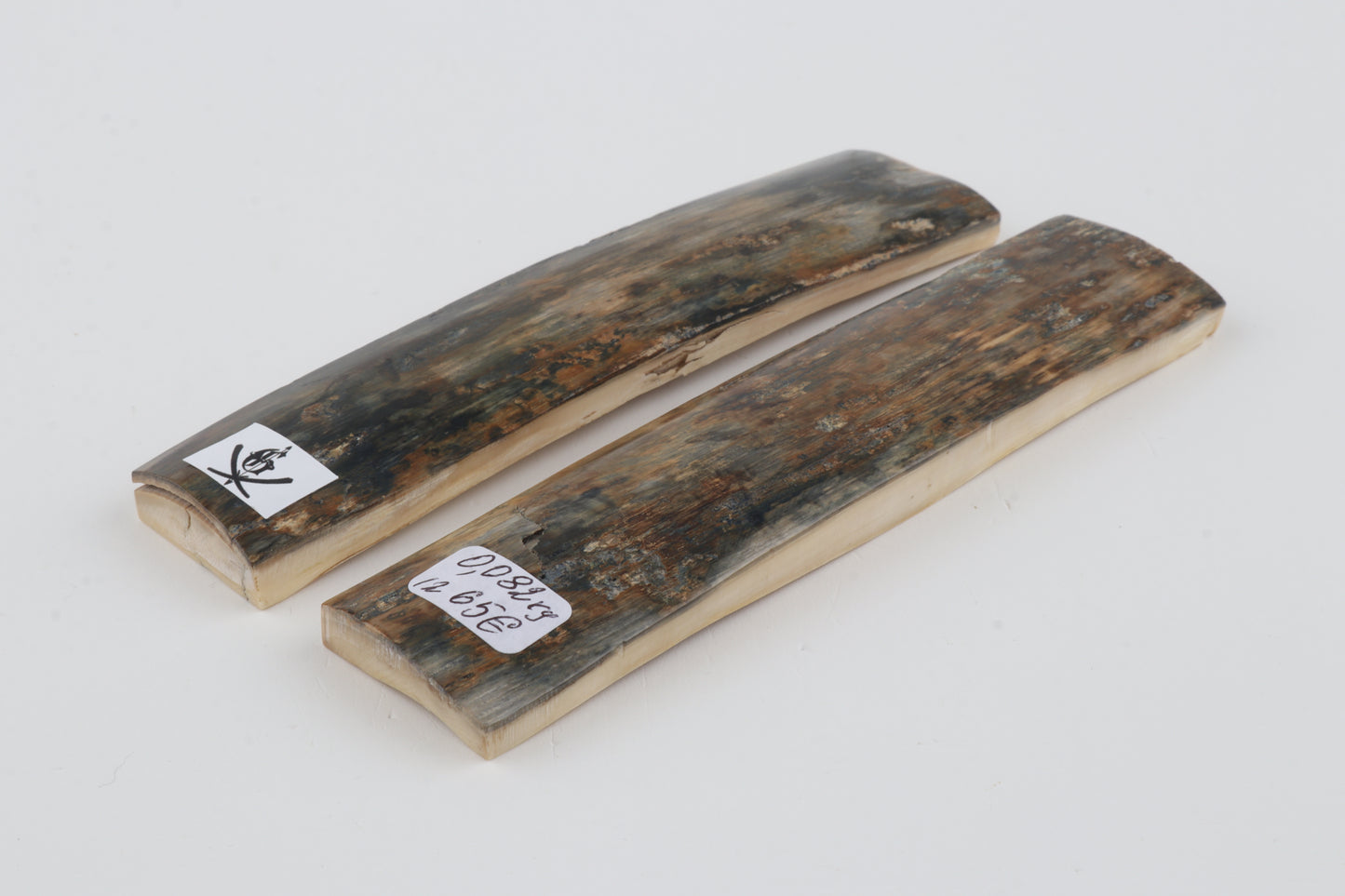 Natural mammoth bark scales