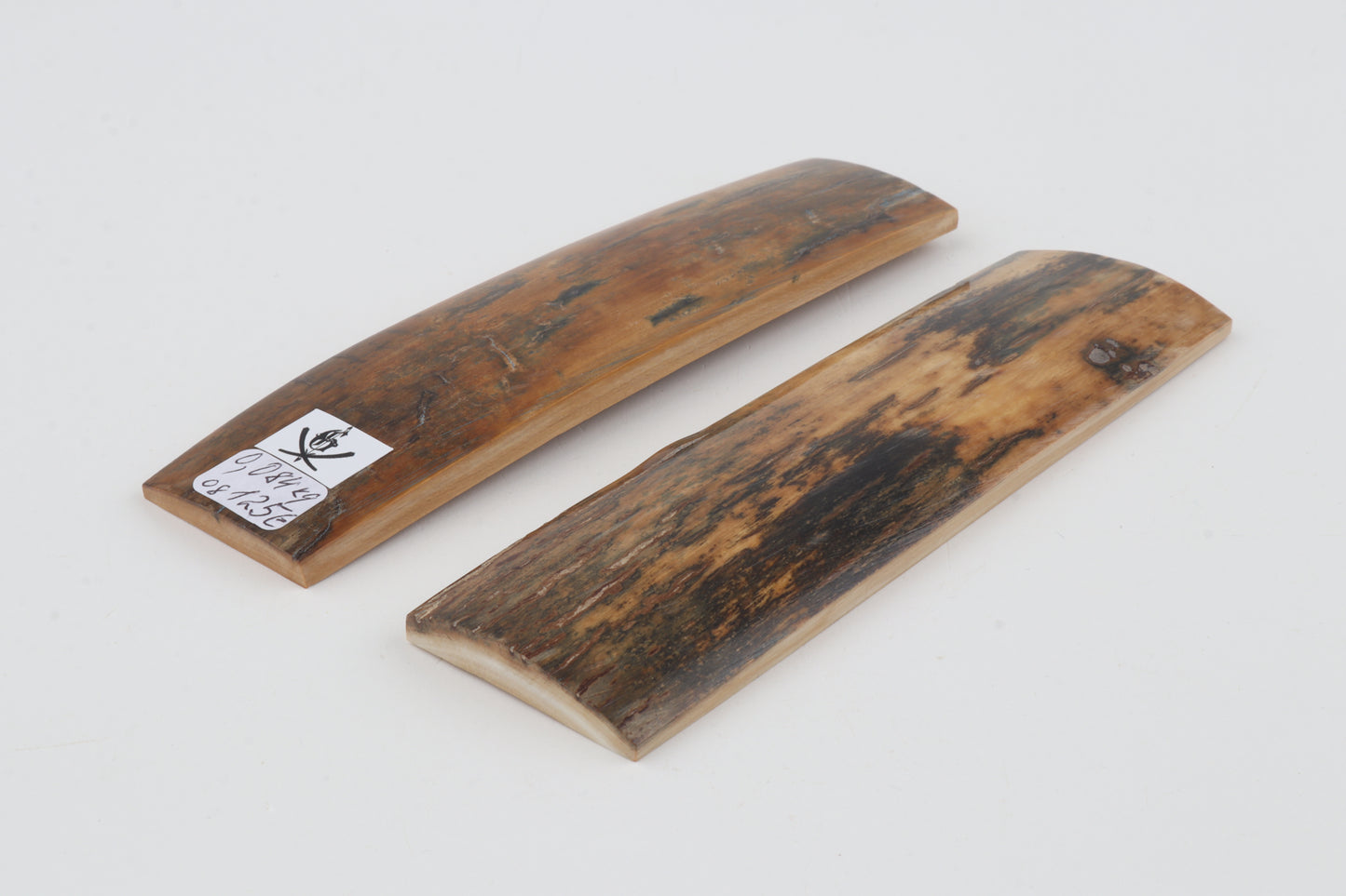 Natural mammoth bark scales