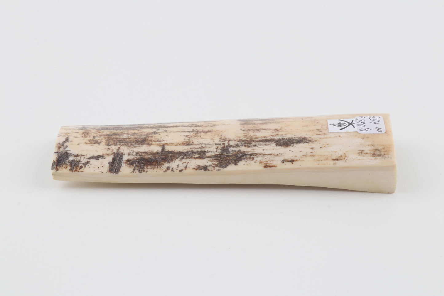 White-grey mammoth bark