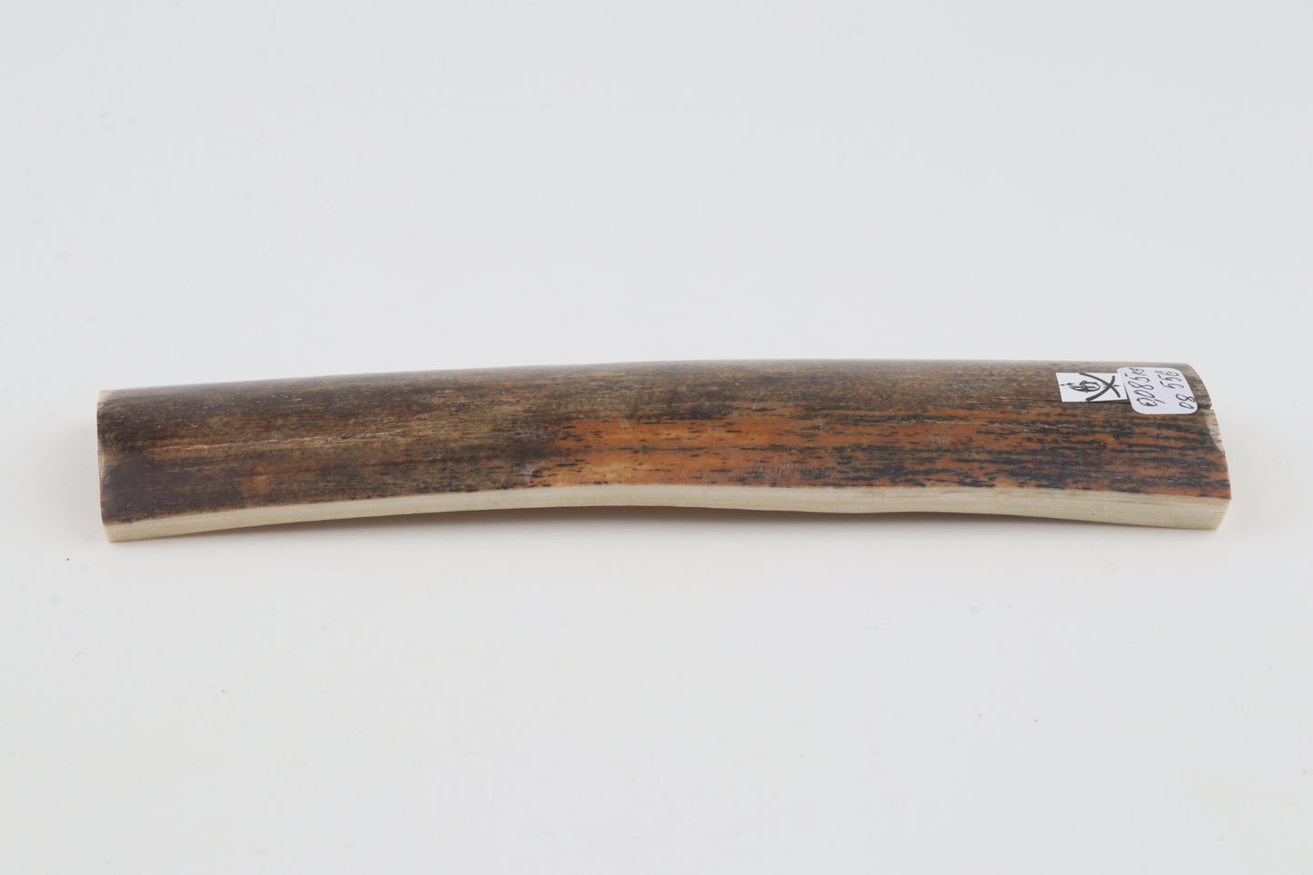 Natural woolly mammoth bark