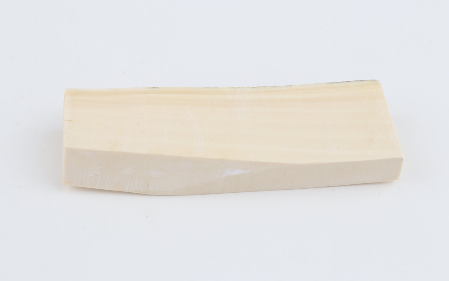 White mammoth ivory segment