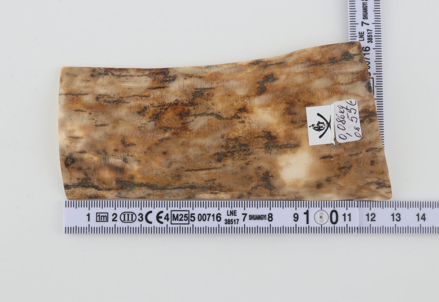 Beige mammoth bark